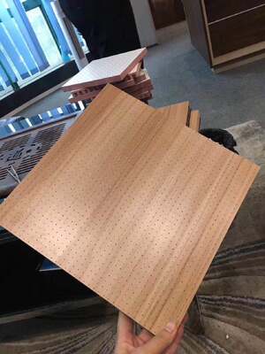 Hall Perforated Acoustic Panel Interior Acoustic Wall Panels Decorative