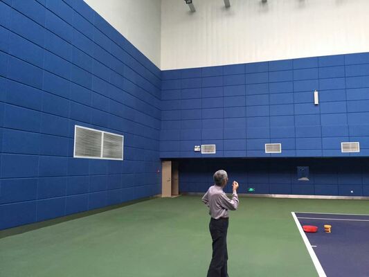 Noise Reduction Acoustic Ceiling Panel Room Decorative 3D Wall Panel Customized