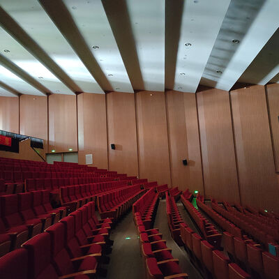 Wood Perforated Acoustic Board Natural Sound Absorbing Wall Panel