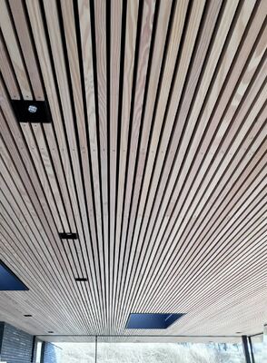 MDF Polyester Acoustic Slat Wood Panel Noise Reduction Ceiling Acoustic Panel