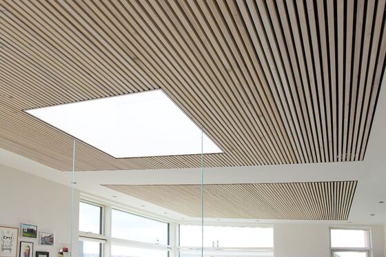 Acoustic Wood Wall Panel Decor Interior Acoustic Ceiling Panel for Hall