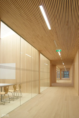 Easy Installation Acoustic Ceiling Panel Noise Reduction Acoustic Wood Panel for Home Decor