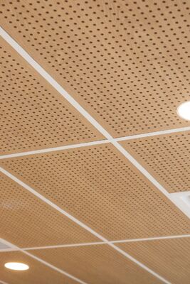 Customized Perforated Acoustic Wall Panel Decor Interior Acoustic Ceiling Panel for Home Decor